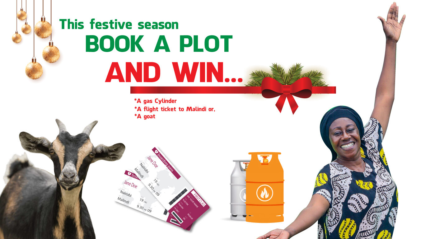 Emmaus Affordable homes and Properties Unlock your future, Invest