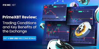 Understanding PrimeXBT Forex The Future of Trading Understanding PrimeXBT Forex The Future of Trading